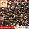 High Quality of Mix Nut and Dried Fruit